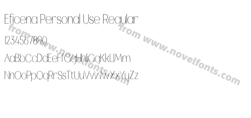 Eficena Personal Use RegularPreview