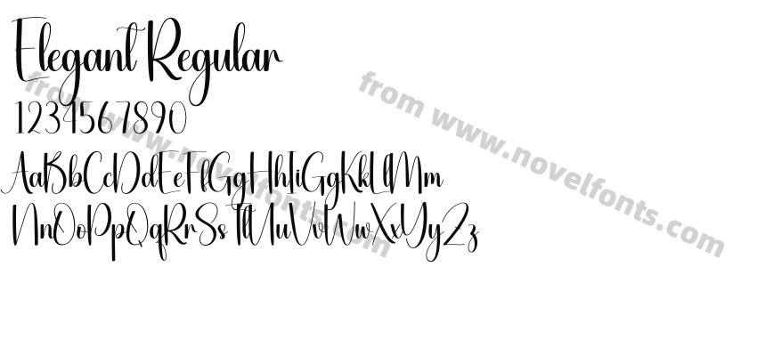 Elegant RegularPreview