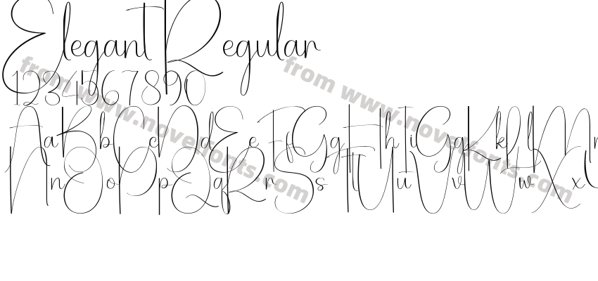 Elegant RegularPreview