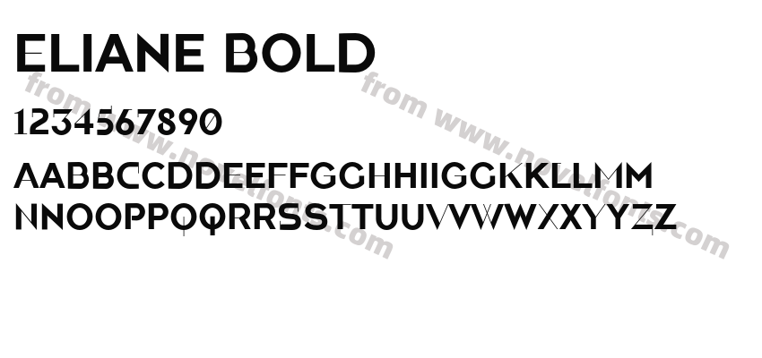 Eliane BoldPreview