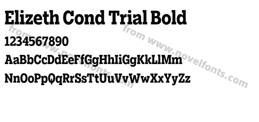 Elizeth Cond Trial BoldPreview