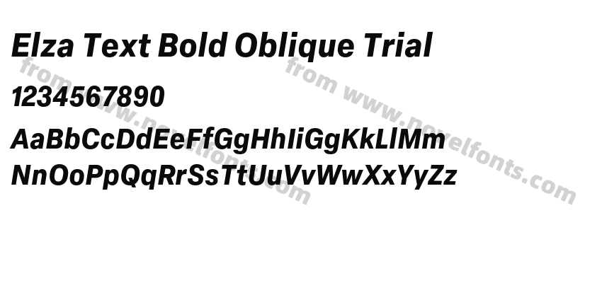 Elza Text Bold Oblique TrialPreview