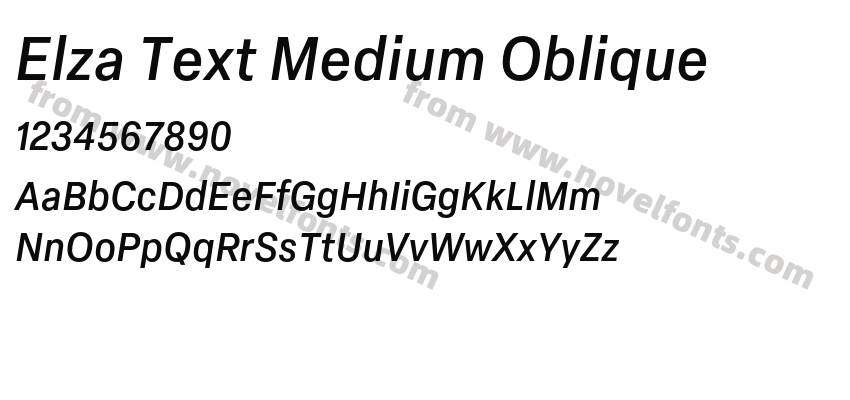 Elza Text Medium ObliquePreview