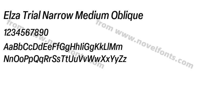 Elza Trial Narrow Medium ObliquePreview