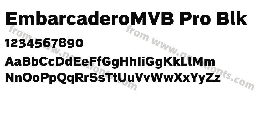 EmbarcaderoMVB Pro BlkPreview