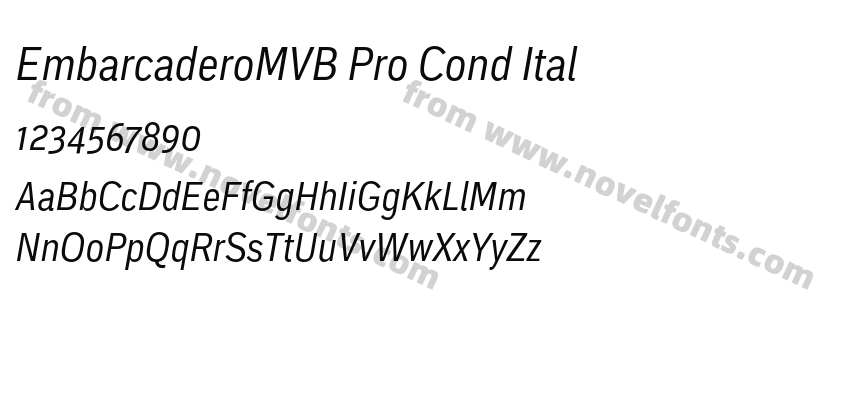 EmbarcaderoMVB Pro Cond ItalPreview