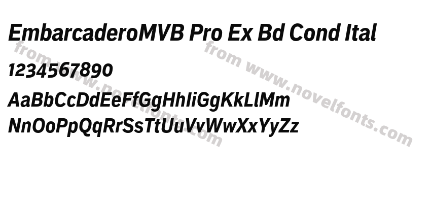 EmbarcaderoMVB Pro Ex Bd Cond ItalPreview