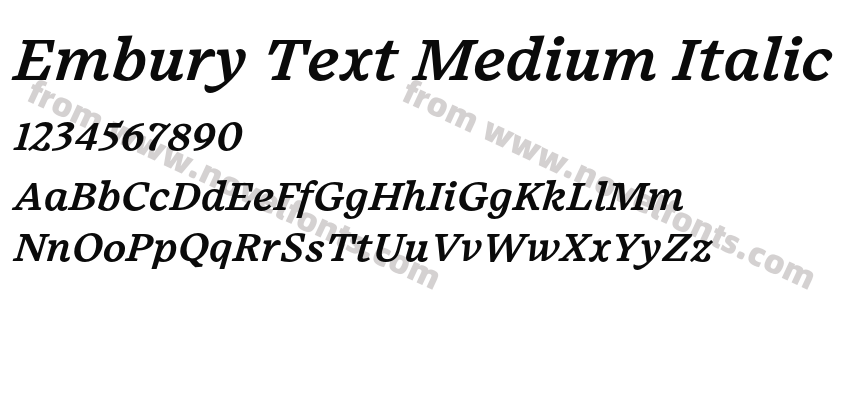 Embury Text Medium ItalicPreview