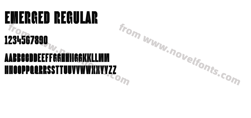Emerged RegularPreview