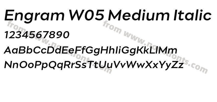 Engram W05 Medium ItalicPreview