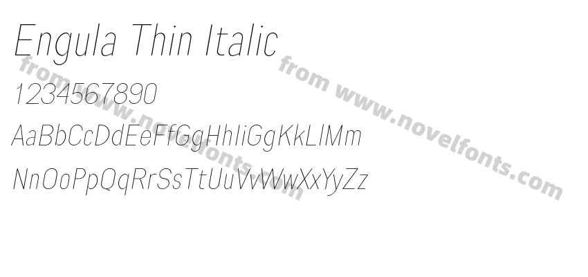Engula Thin ItalicPreview