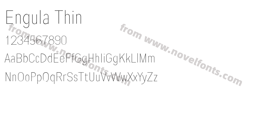 Engula ThinPreview