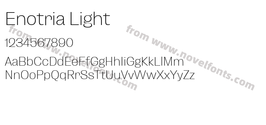 Enotria LightPreview