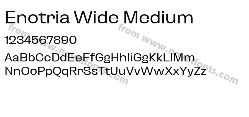 Enotria Wide MediumPreview