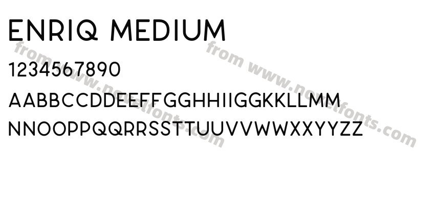 Enriq MediumPreview