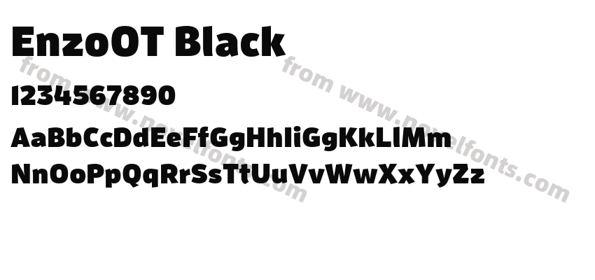 EnzoOT BlackPreview