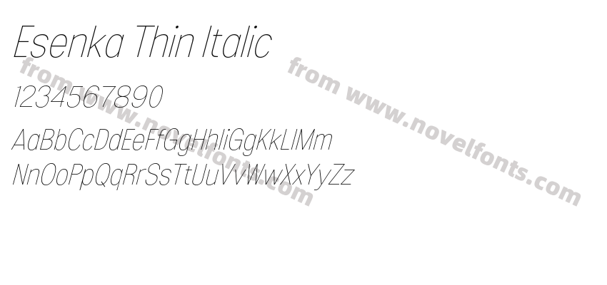 Esenka Thin ItalicPreview