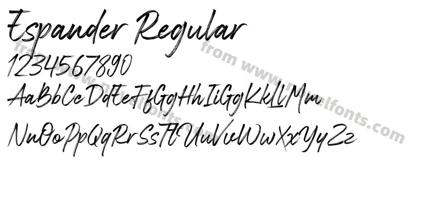 Espander RegularPreview