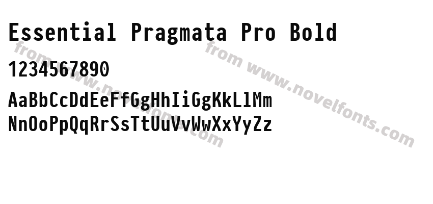 Essential Pragmata Pro BoldPreview