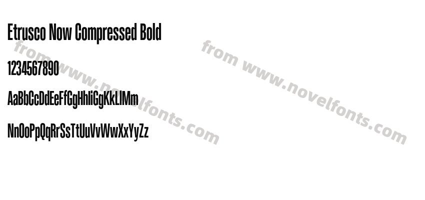 Etrusco Now Compressed BoldPreview