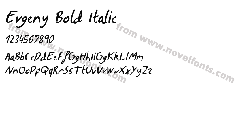 Evgeny Bold ItalicPreview