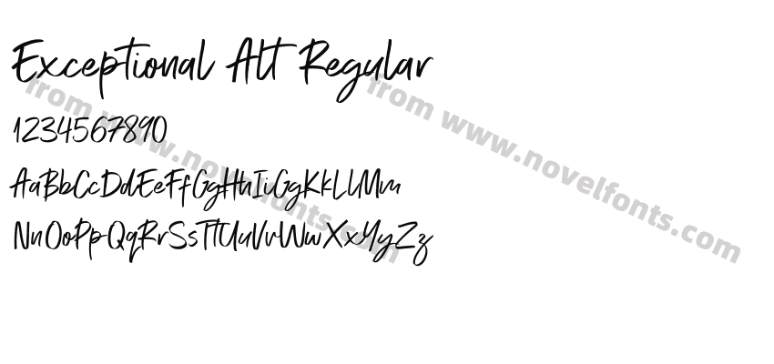 Exceptional Alt RegularPreview