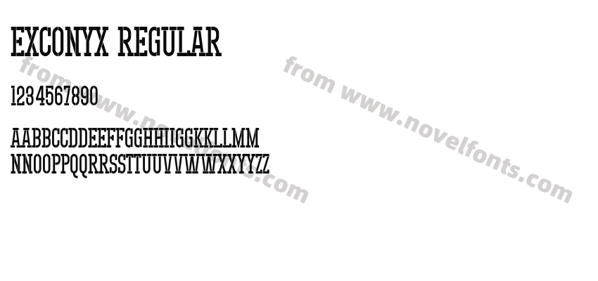 Exconyx RegularPreview