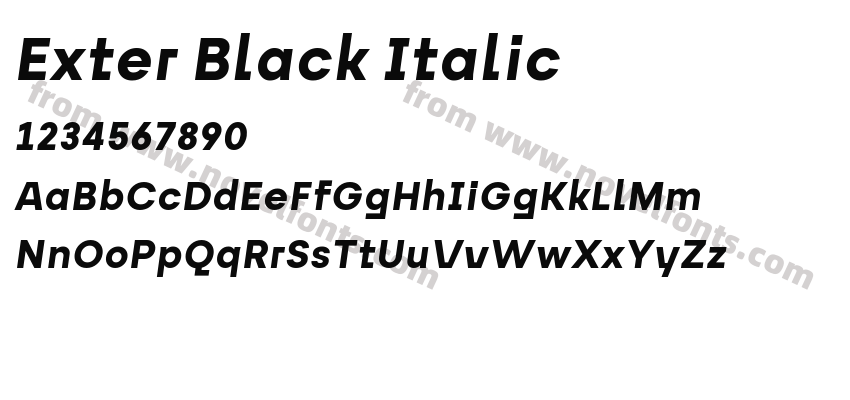 Exter Black ItalicPreview