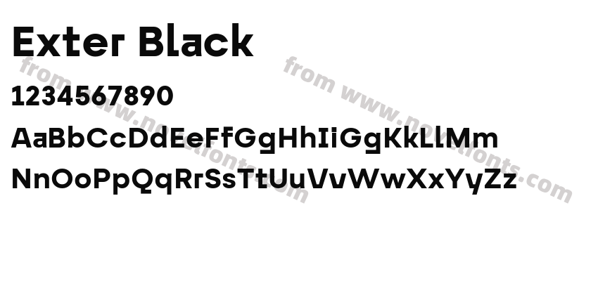 Exter BlackPreview