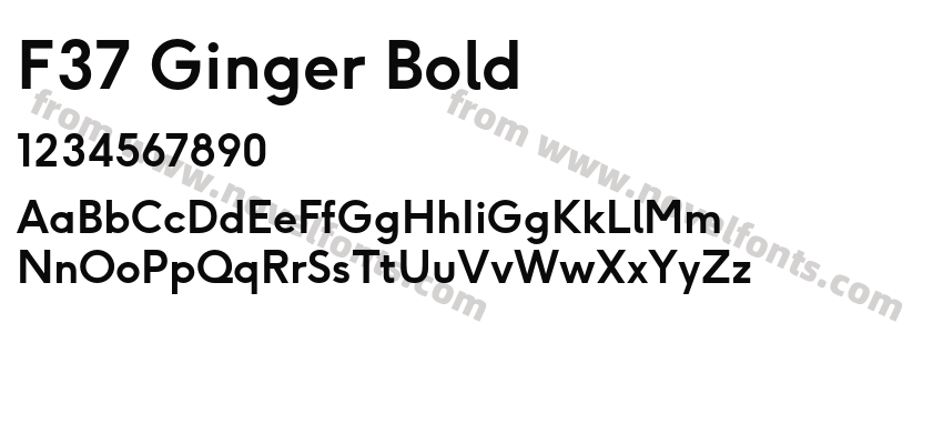 F37 Ginger BoldPreview