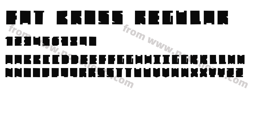 FAT BROSS RegularPreview