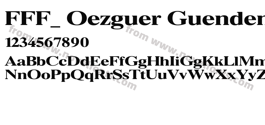 FFF_ Oezguer Guendem BoldPreview