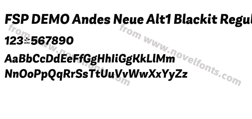 FSP DEMO Andes Neue Alt1 Blackit RegularPreview