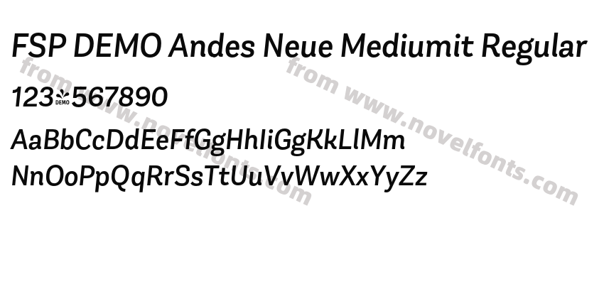FSP DEMO Andes Neue Mediumit RegularPreview