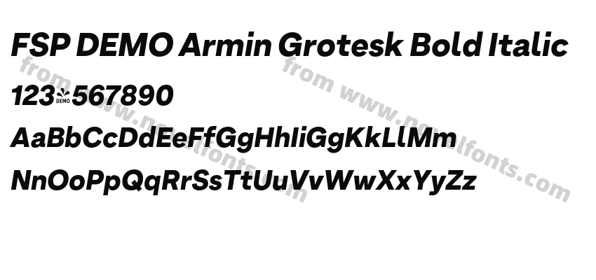 FSP DEMO Armin Grotesk Bold ItalicPreview