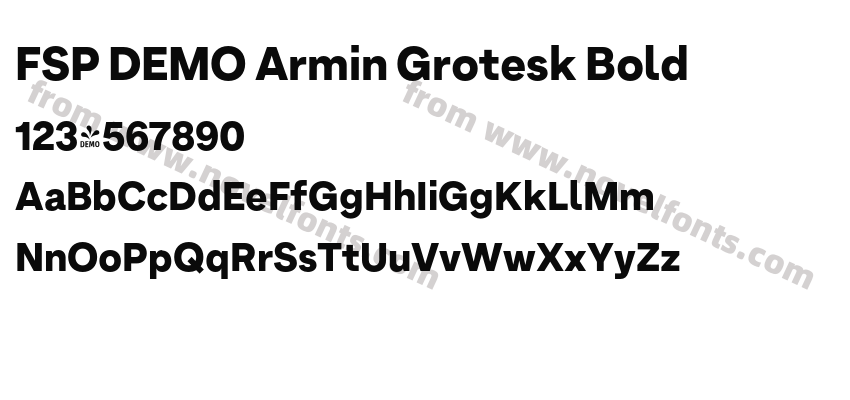 FSP DEMO Armin Grotesk BoldPreview