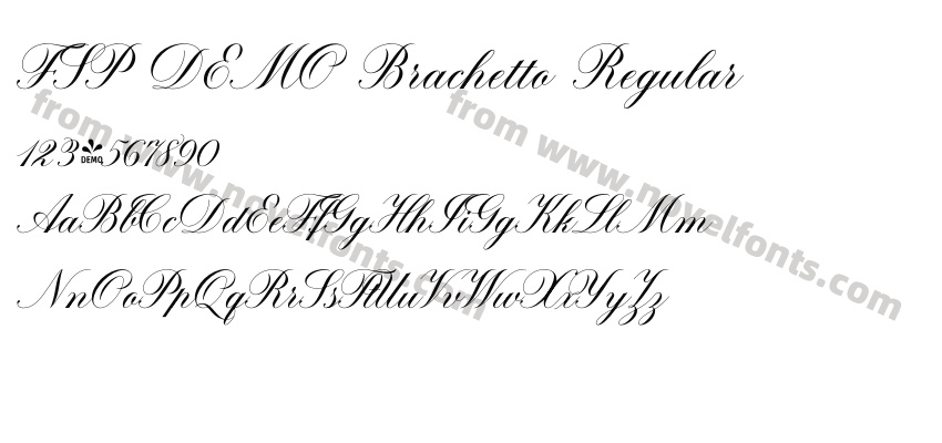 FSP DEMO Brachetto RegularPreview