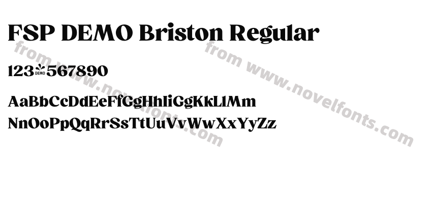 FSP DEMO Briston RegularPreview
