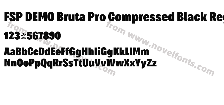 FSP DEMO Bruta Pro Compressed Black RegularPreview