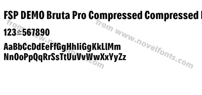 FSP DEMO Bruta Pro Compressed Compressed BoldPreview