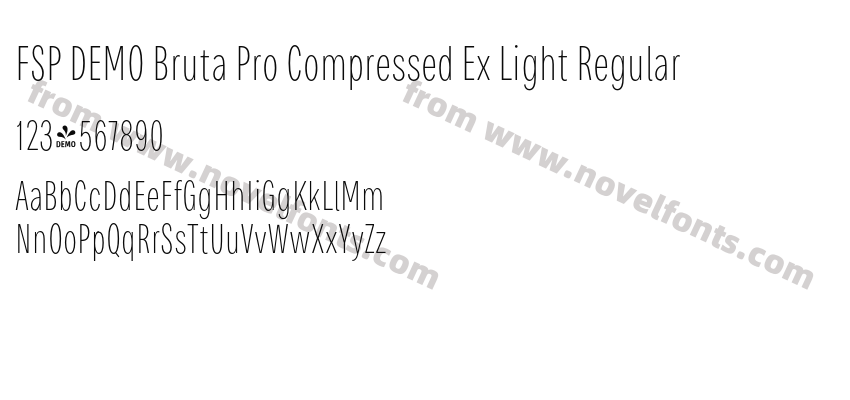 FSP DEMO Bruta Pro Compressed Ex Light RegularPreview