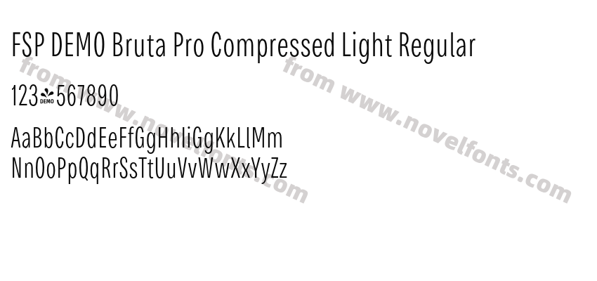 FSP DEMO Bruta Pro Compressed Light RegularPreview