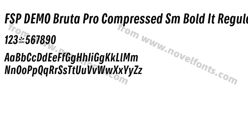 FSP DEMO Bruta Pro Compressed Sm Bold It RegularPreview