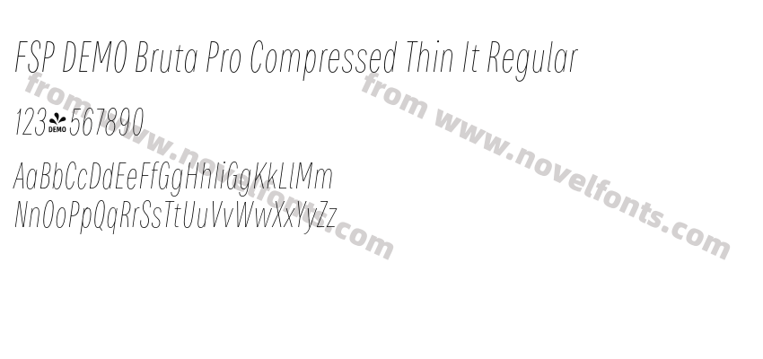FSP DEMO Bruta Pro Compressed Thin It RegularPreview