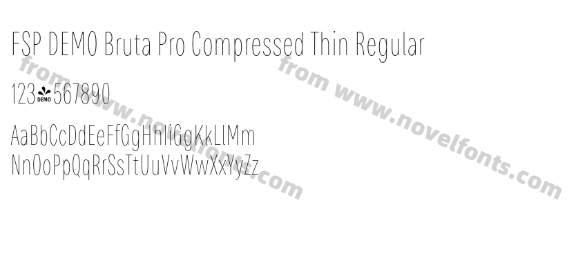 FSP DEMO Bruta Pro Compressed Thin RegularPreview