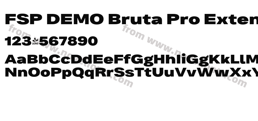 FSP DEMO Bruta Pro Extended Black RegularPreview