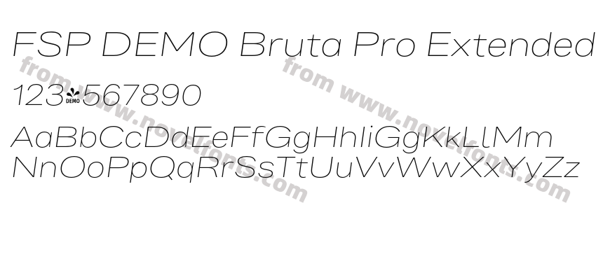 FSP DEMO Bruta Pro Extended Ex Light It RegularPreview