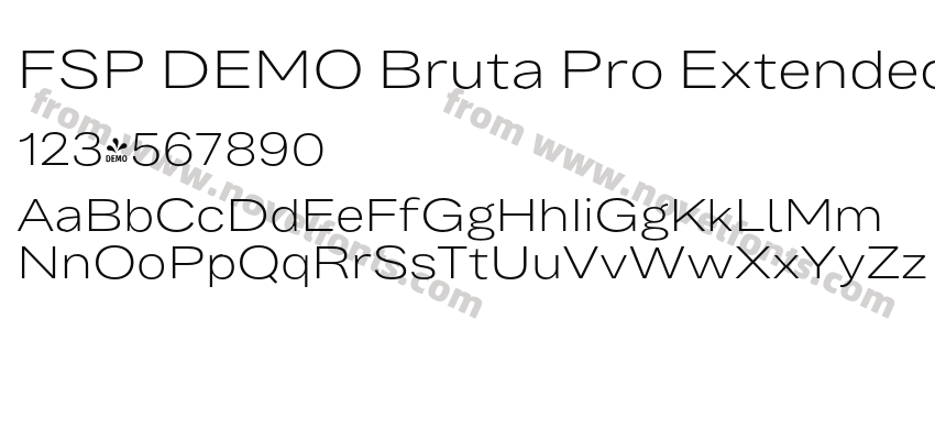 FSP DEMO Bruta Pro Extended Light RegularPreview