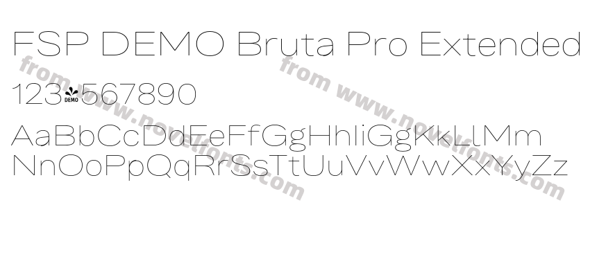 FSP DEMO Bruta Pro Extended Thin RegularPreview