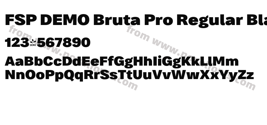 FSP DEMO Bruta Pro Regular Black RegularPreview